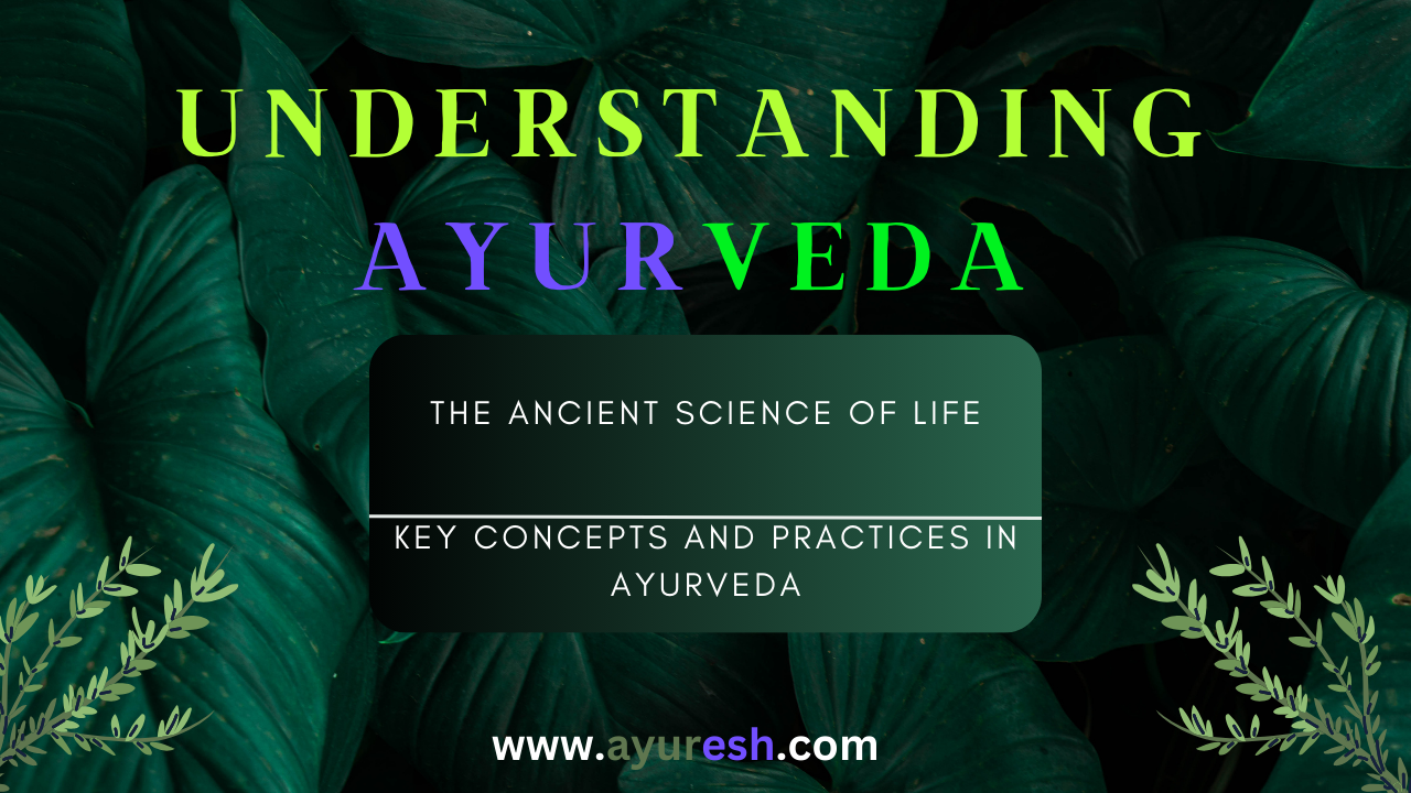 Read more about the article Understanding Ayurveda: The Ancient Science of Life