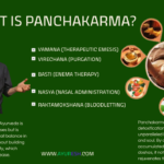 Introduction to Panchakarma  The Ayurvedic Detox Treatment