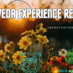 Ayurveda Experience Reviews A Journey Holistic